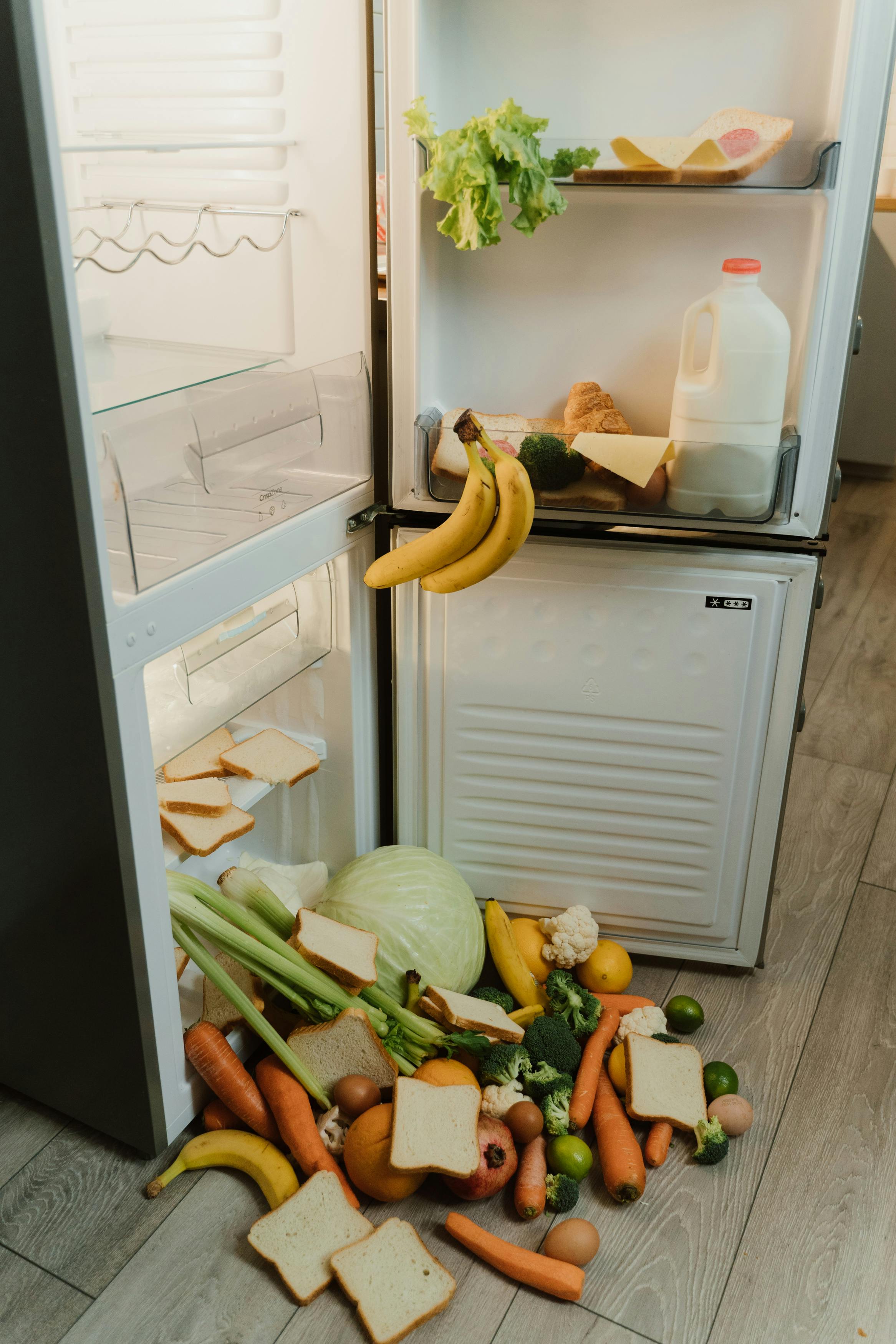 illustration gaspillage alimentaire